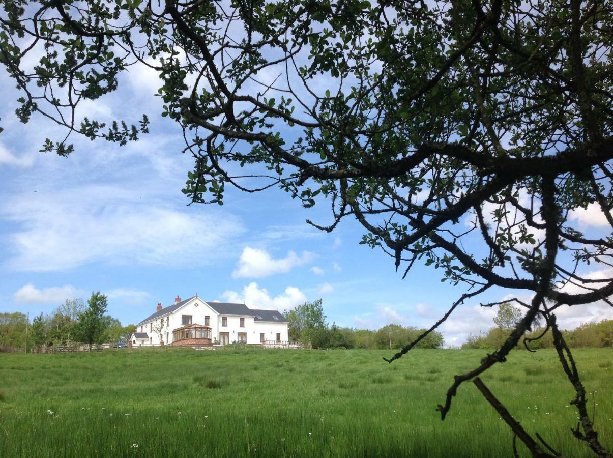 Penddaulwyn Uchaf Farm # Carmarthenshire Apartamento Nantgaredig Exterior foto
