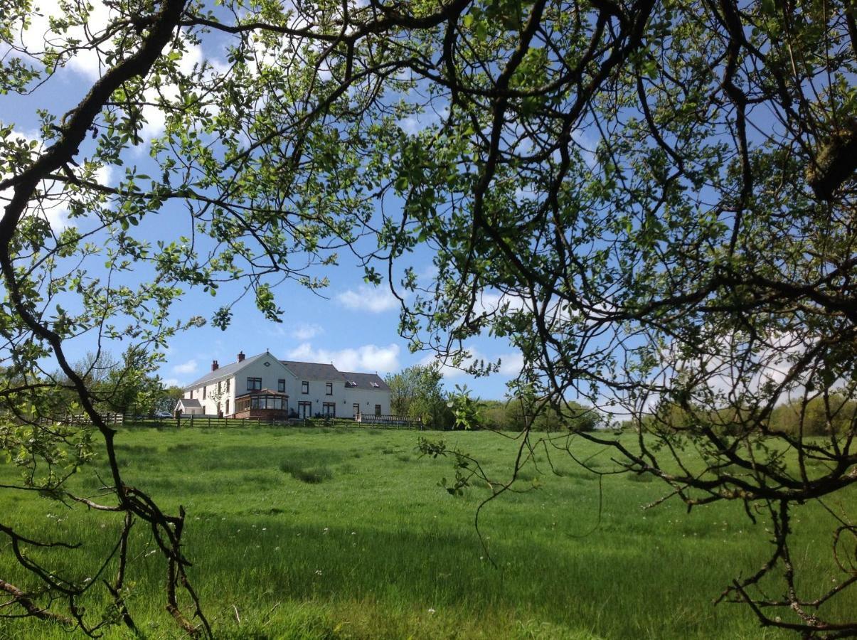 Penddaulwyn Uchaf Farm # Carmarthenshire Apartamento Nantgaredig Exterior foto