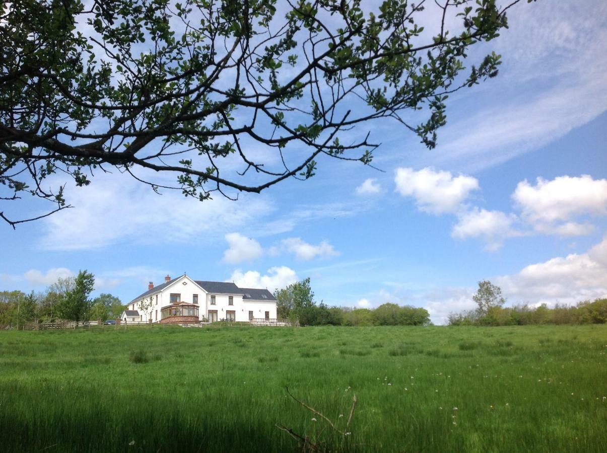 Penddaulwyn Uchaf Farm # Carmarthenshire Apartamento Nantgaredig Exterior foto