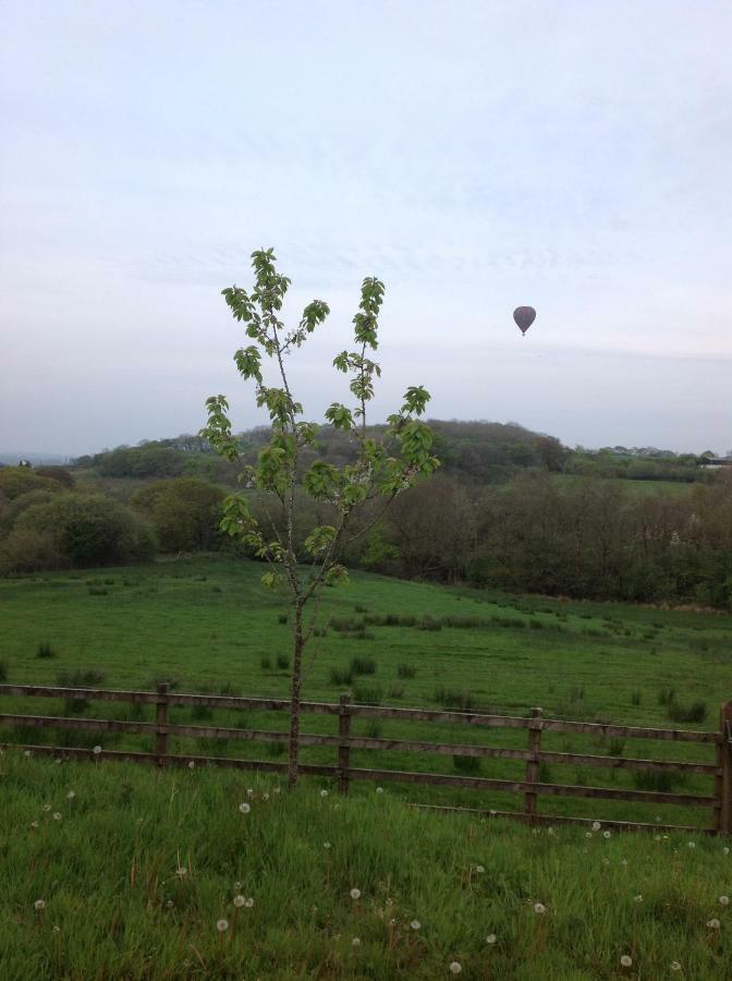 Penddaulwyn Uchaf Farm # Carmarthenshire Apartamento Nantgaredig Exterior foto