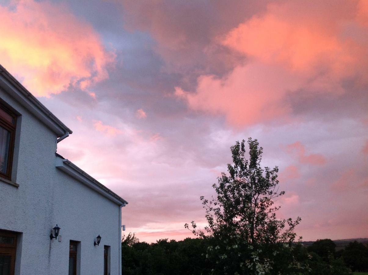 Penddaulwyn Uchaf Farm # Carmarthenshire Apartamento Nantgaredig Exterior foto