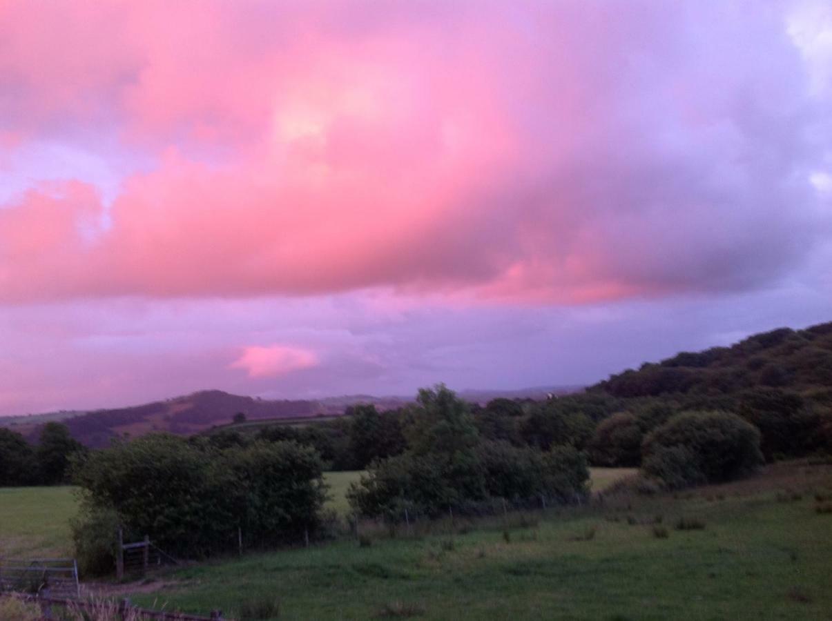 Penddaulwyn Uchaf Farm # Carmarthenshire Apartamento Nantgaredig Exterior foto