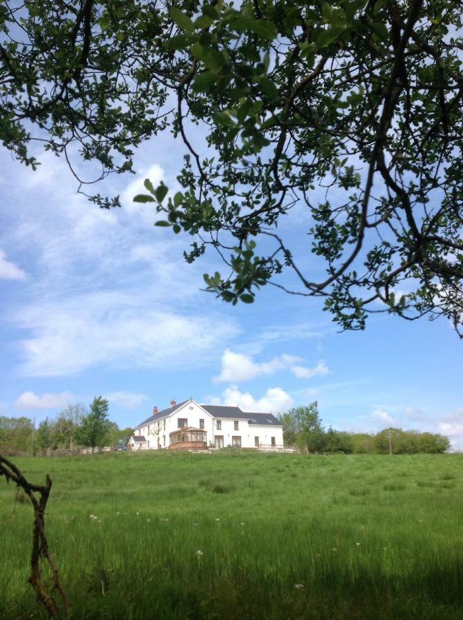 Penddaulwyn Uchaf Farm # Carmarthenshire Apartamento Nantgaredig Exterior foto