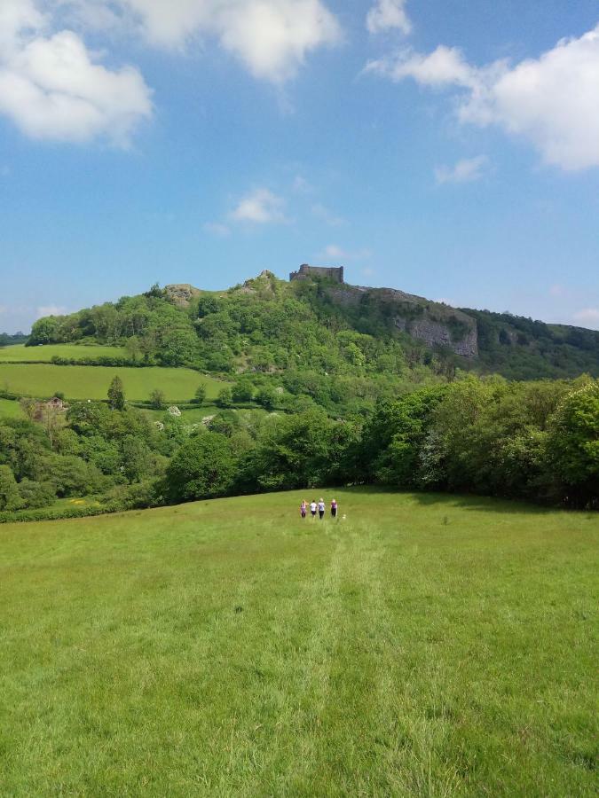 Penddaulwyn Uchaf Farm # Carmarthenshire Apartamento Nantgaredig Exterior foto